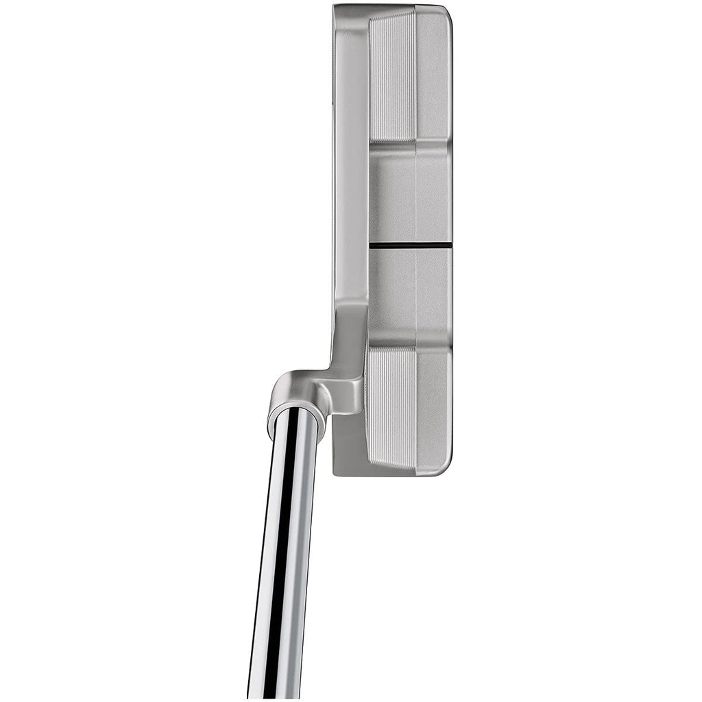 Taylor Made TP Collection HydroBLAST Putter Silver