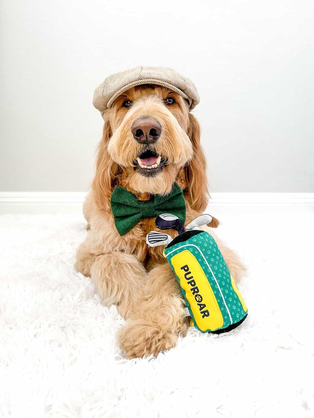 Golf Dog Toy – Funny Dog Christmas & Birthday Gift with Squeaker Rope & Crinkle, Fun & Interactive Puppy Present & Stocking Stuffer